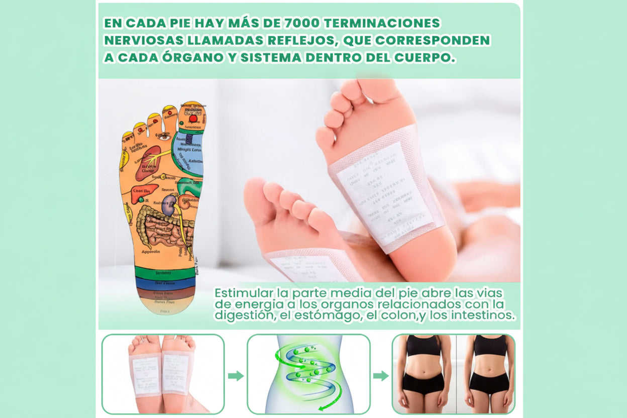 KINOKI – PARCHES DESINTOXICANTES PARA PIES